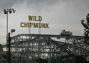 wildchipmunk-1